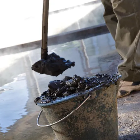 Hotel Atlantic Terme Natural & Abano Terme