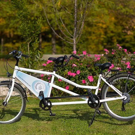 Hotel Atlantic Terme Natural & 3*